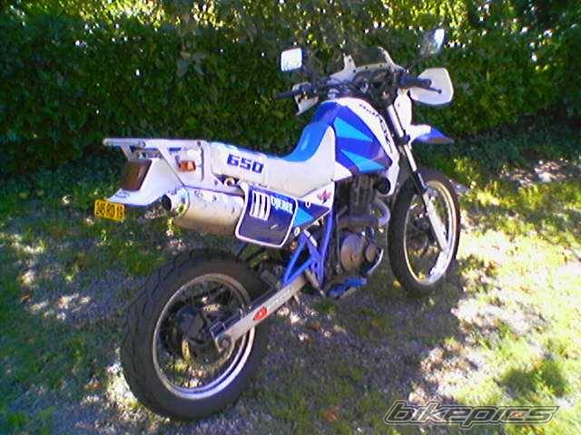 Photo 198984