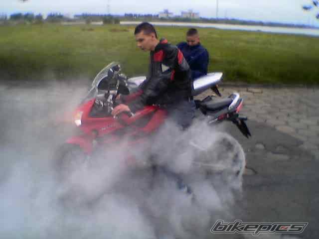 Photo 199065
