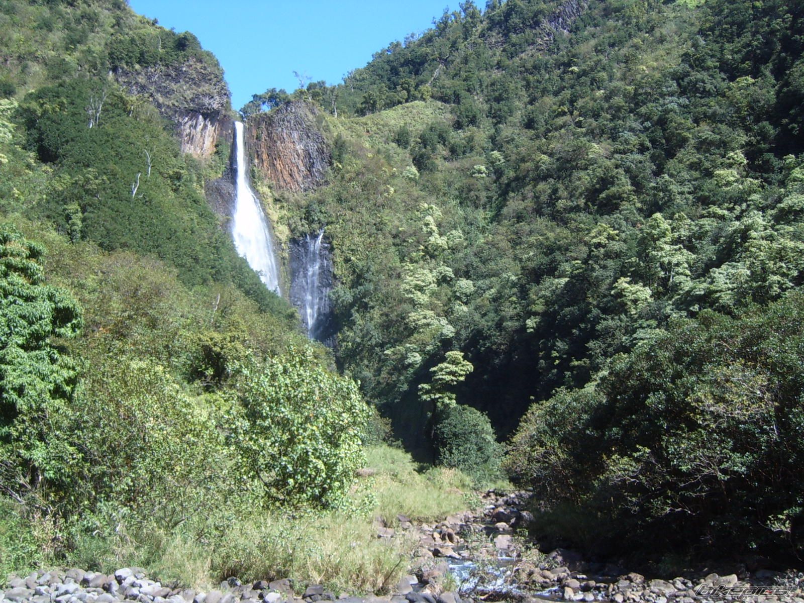 Photo 1990862