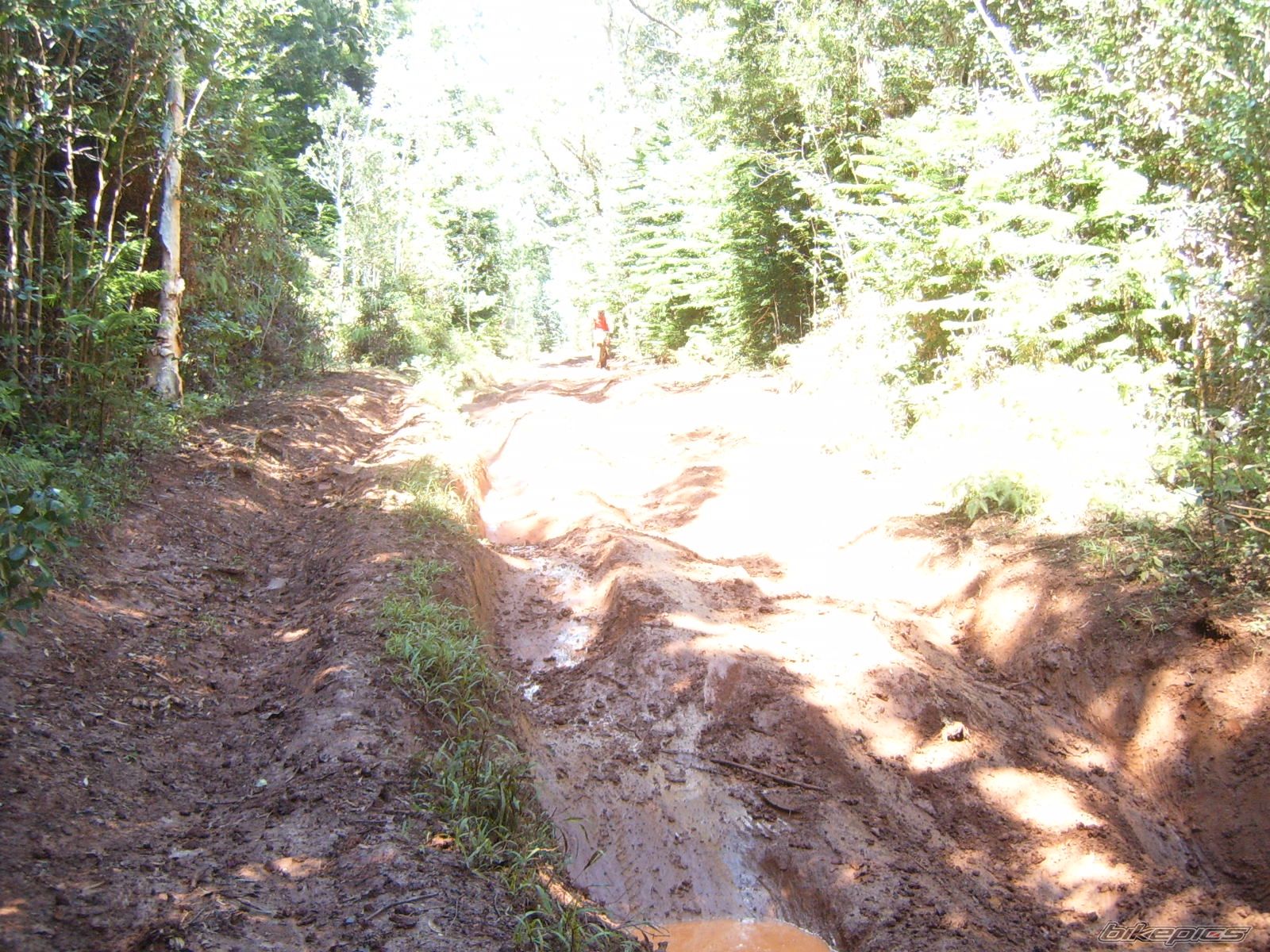 Photo 1990873