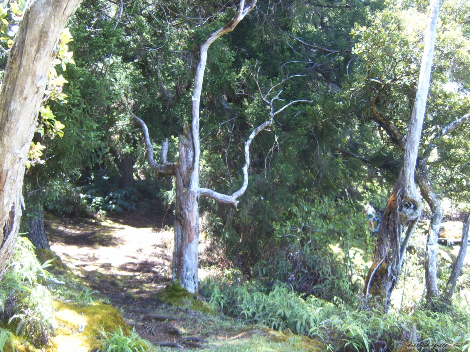 Photo 1990877
