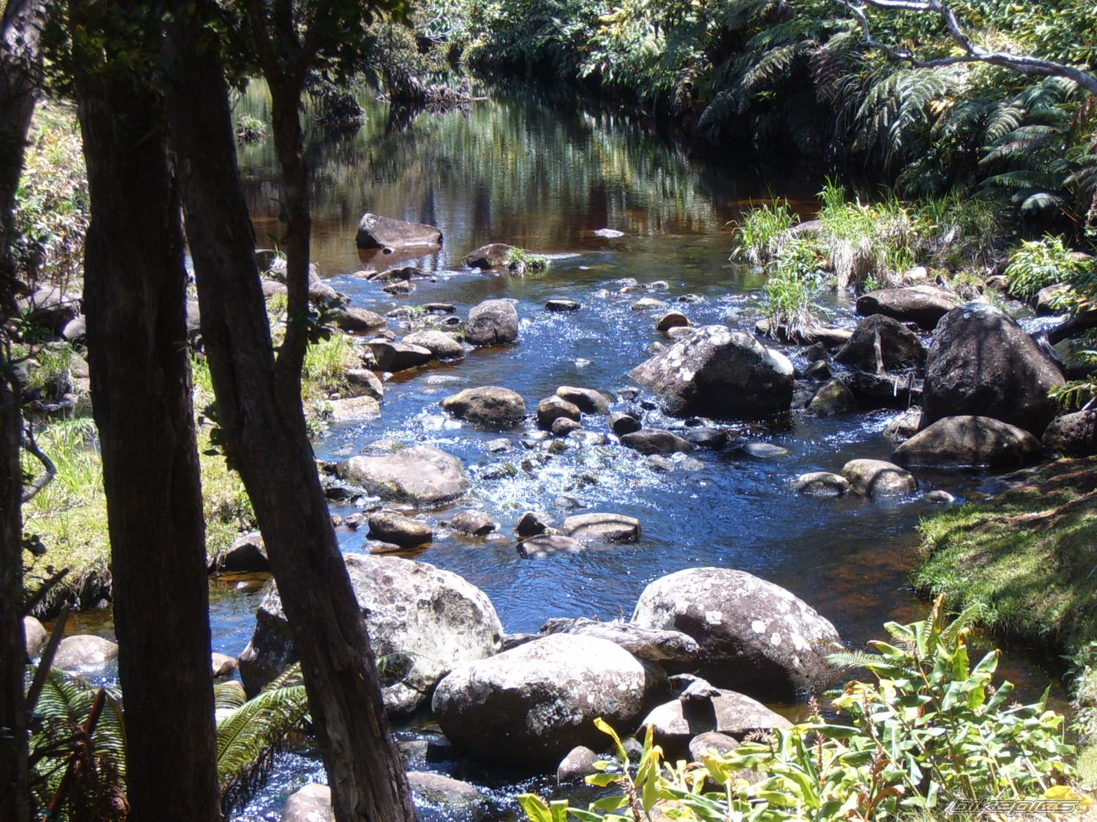 Photo 1990878