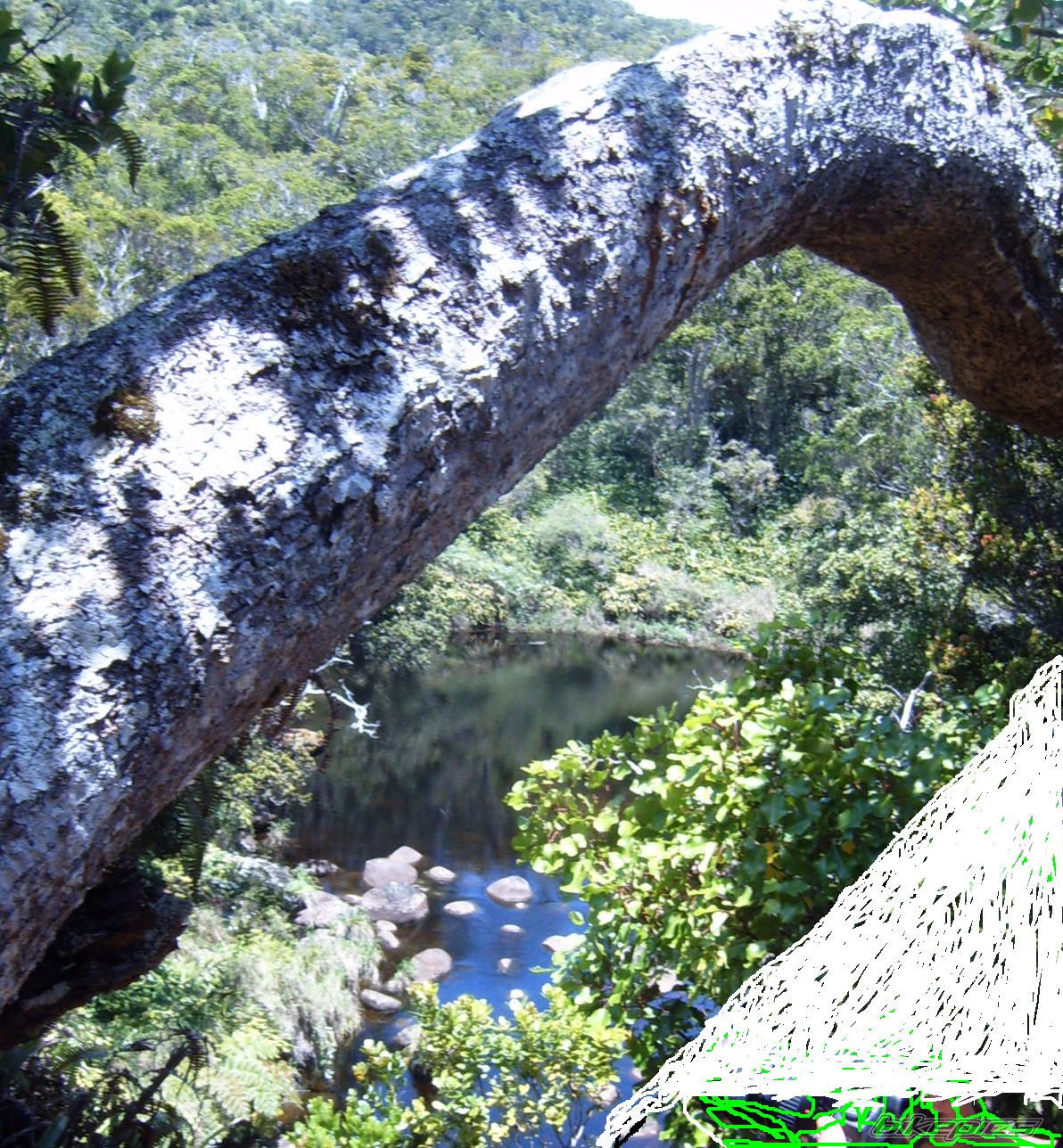 Photo 1990880