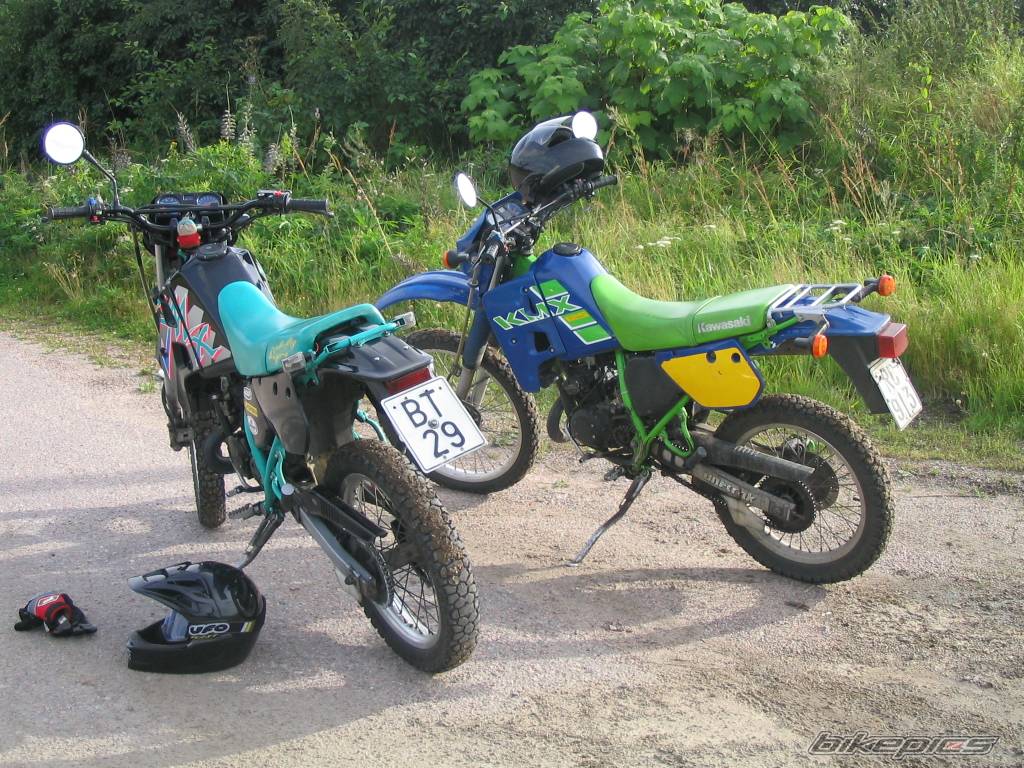 Photo 199131