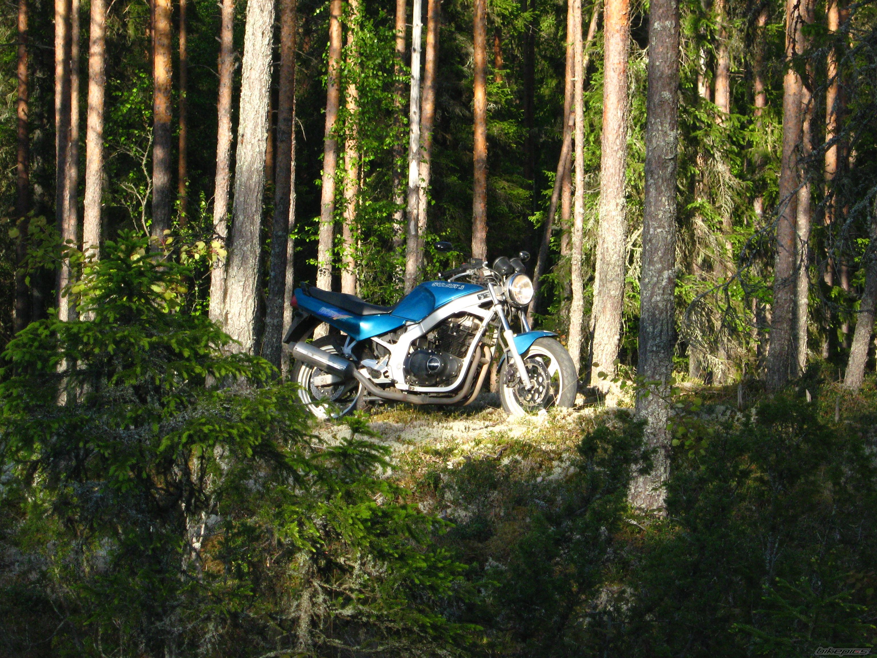Bike Photo 1991398