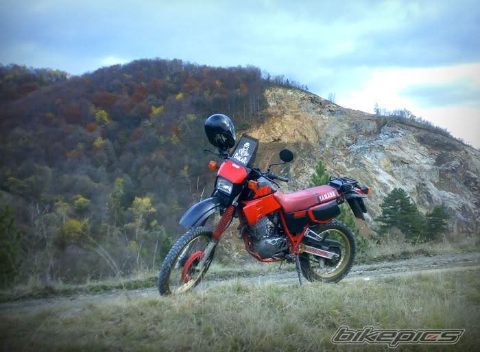 Bike Photo 1991681