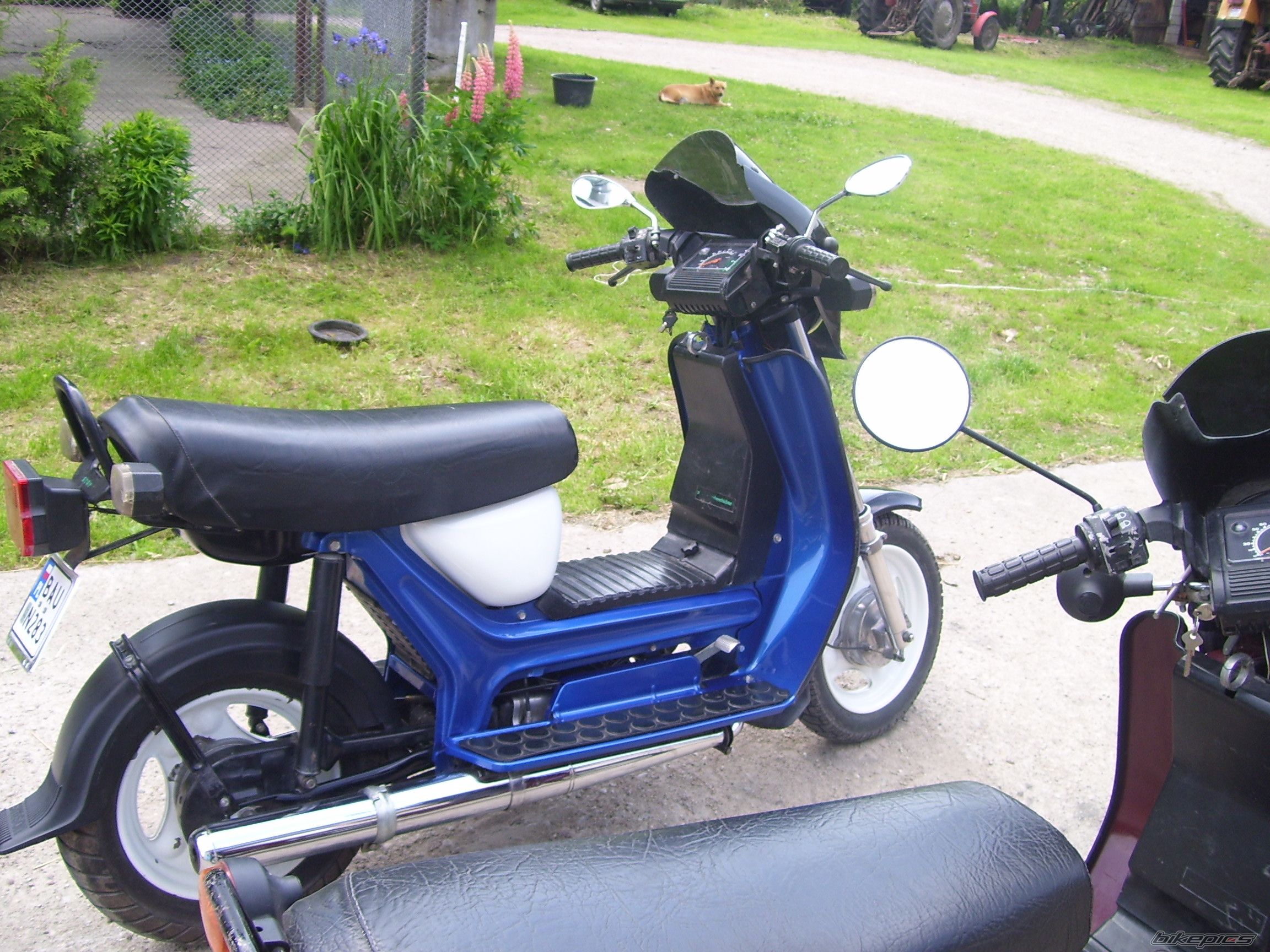 Photo 1991702