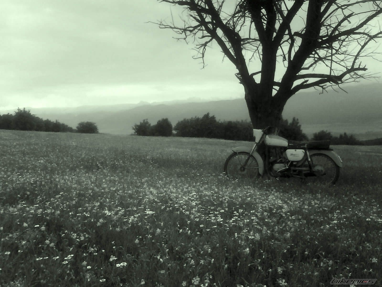 Photo 1991819