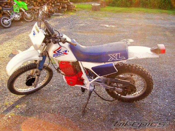Photo 1991841