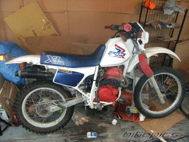 Bike Photo 1991842