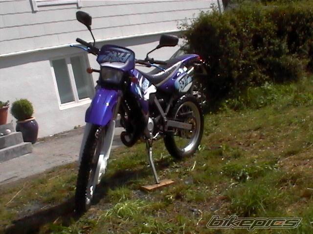 Photo 199231