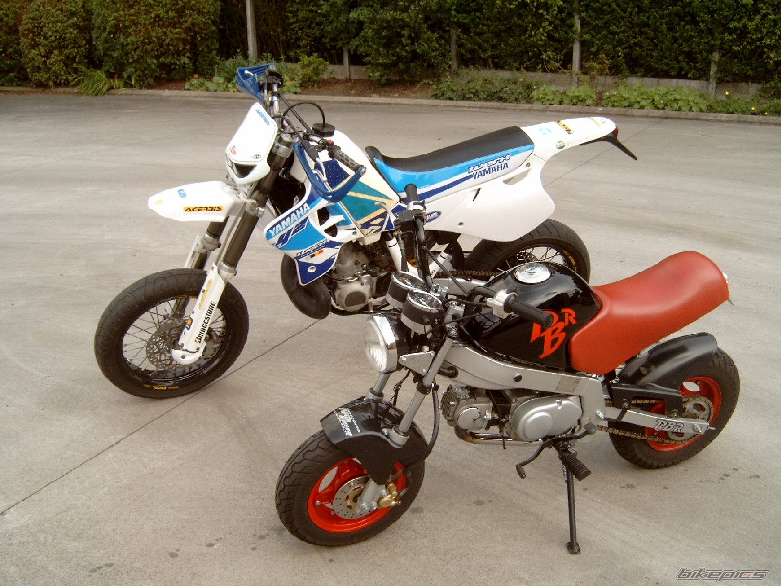 Photo 199235