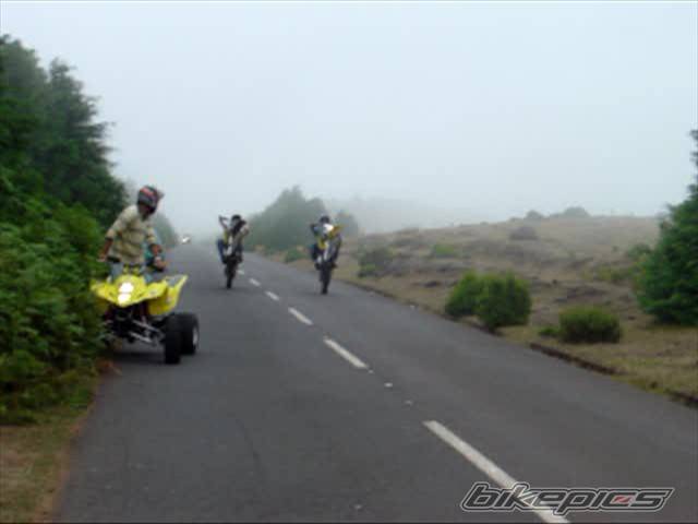 Photo 199270