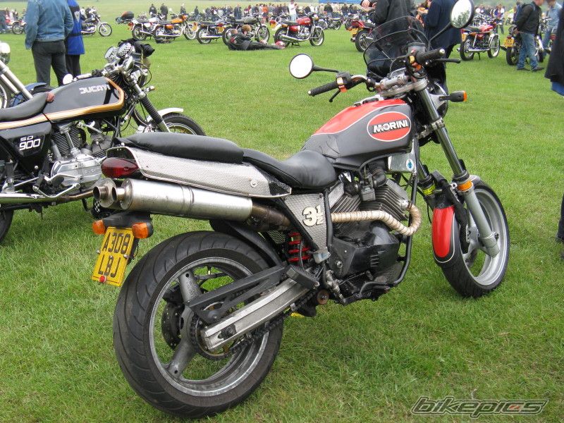 Kanguro 350
