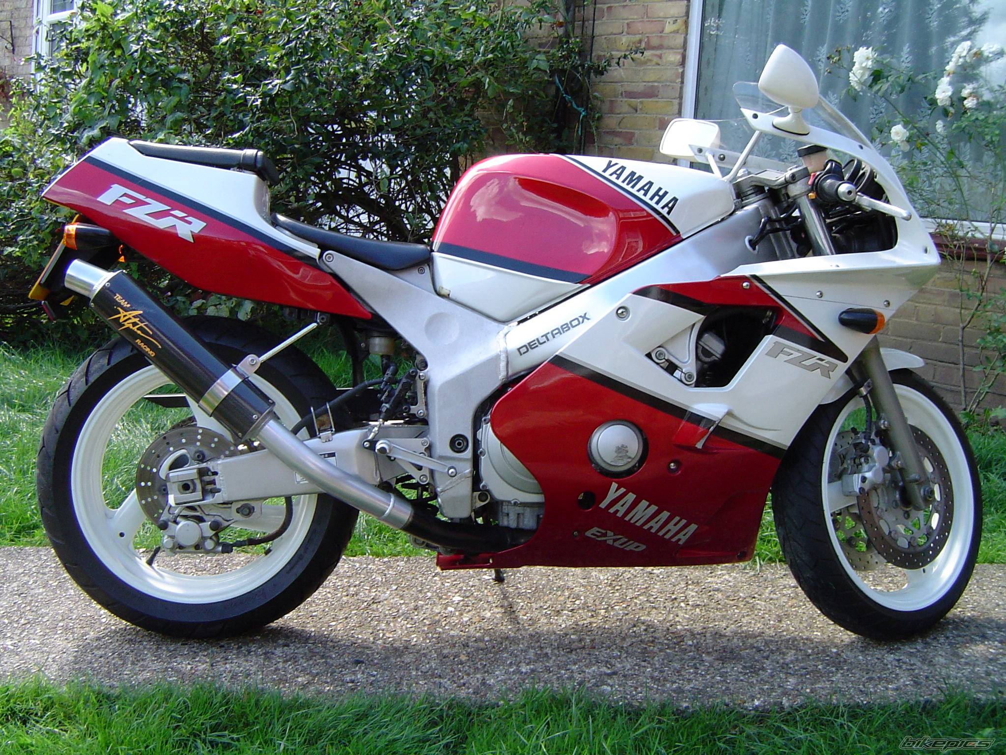 Photo 199329