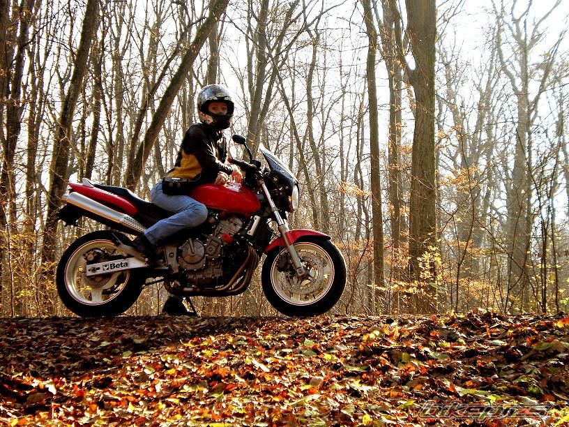 Bike Photo 1993331