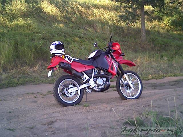 Photo 199379
