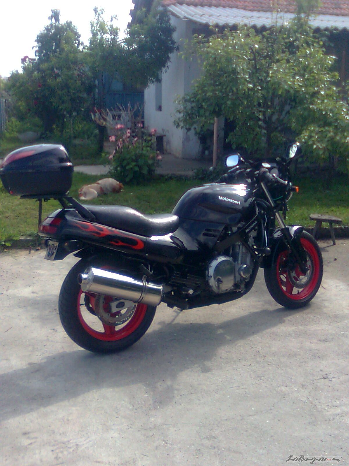 Bike Photo 1994299