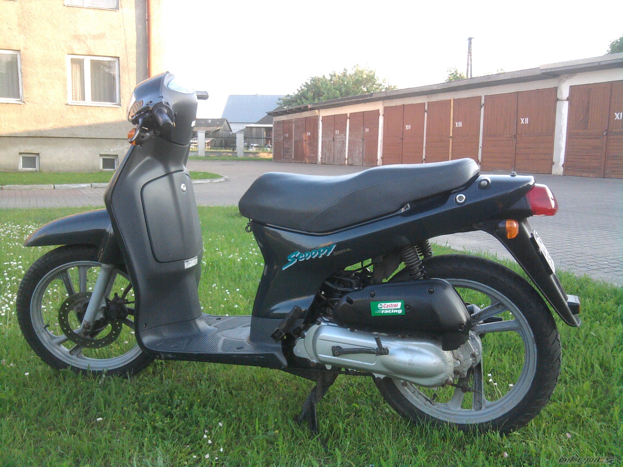Photo 1994403