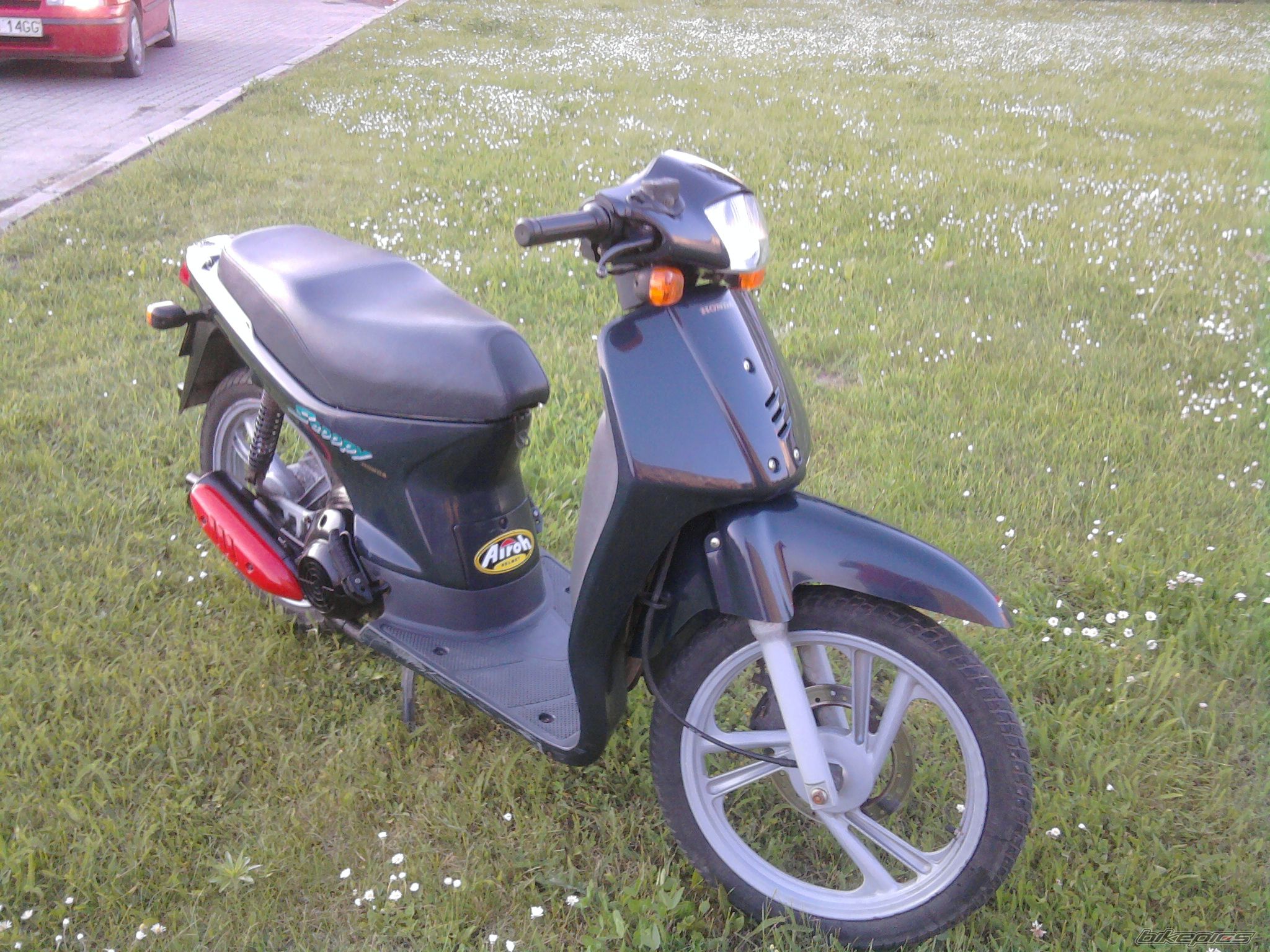 Photo 1994407