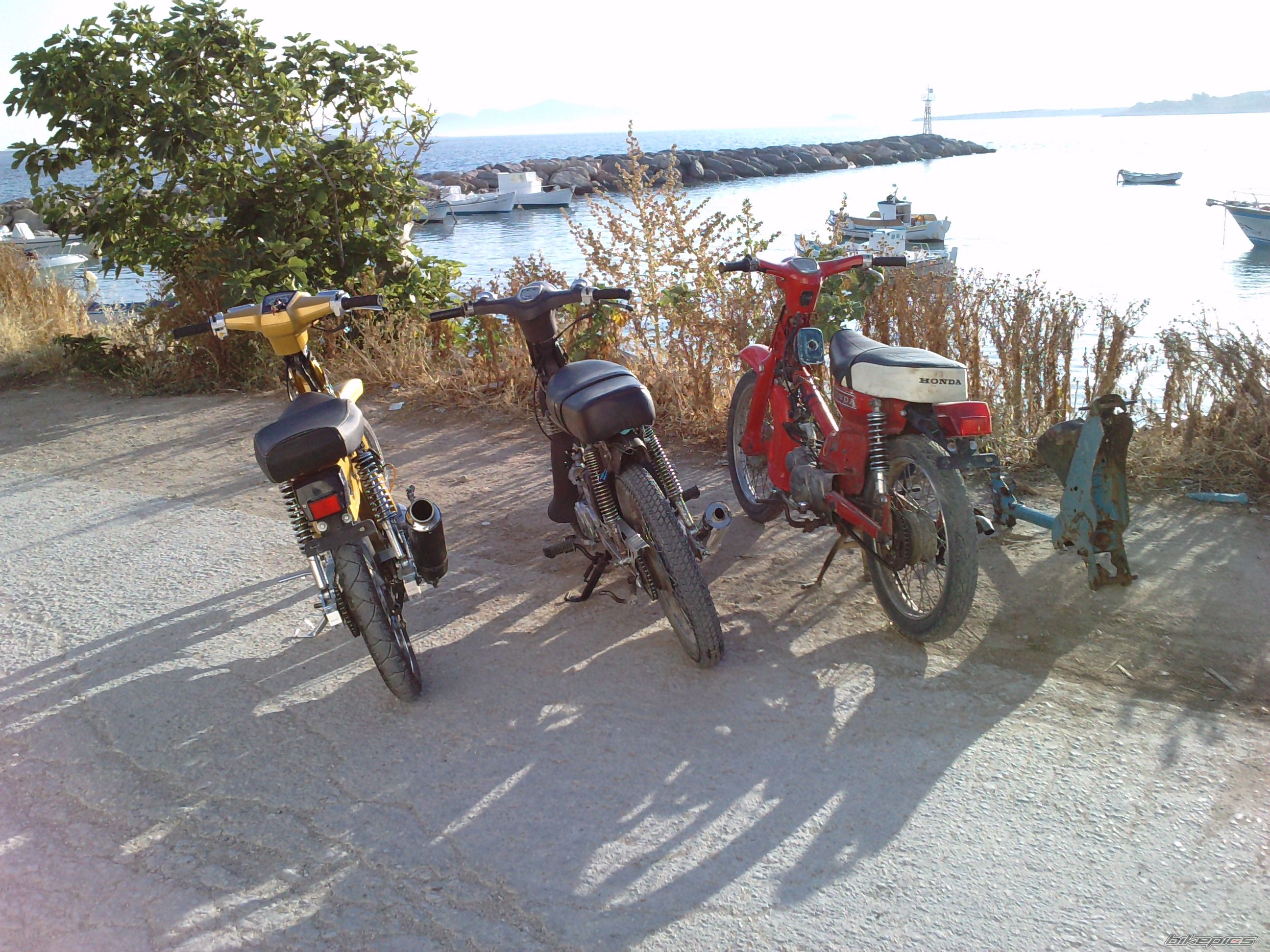 Bike Photo 1994773