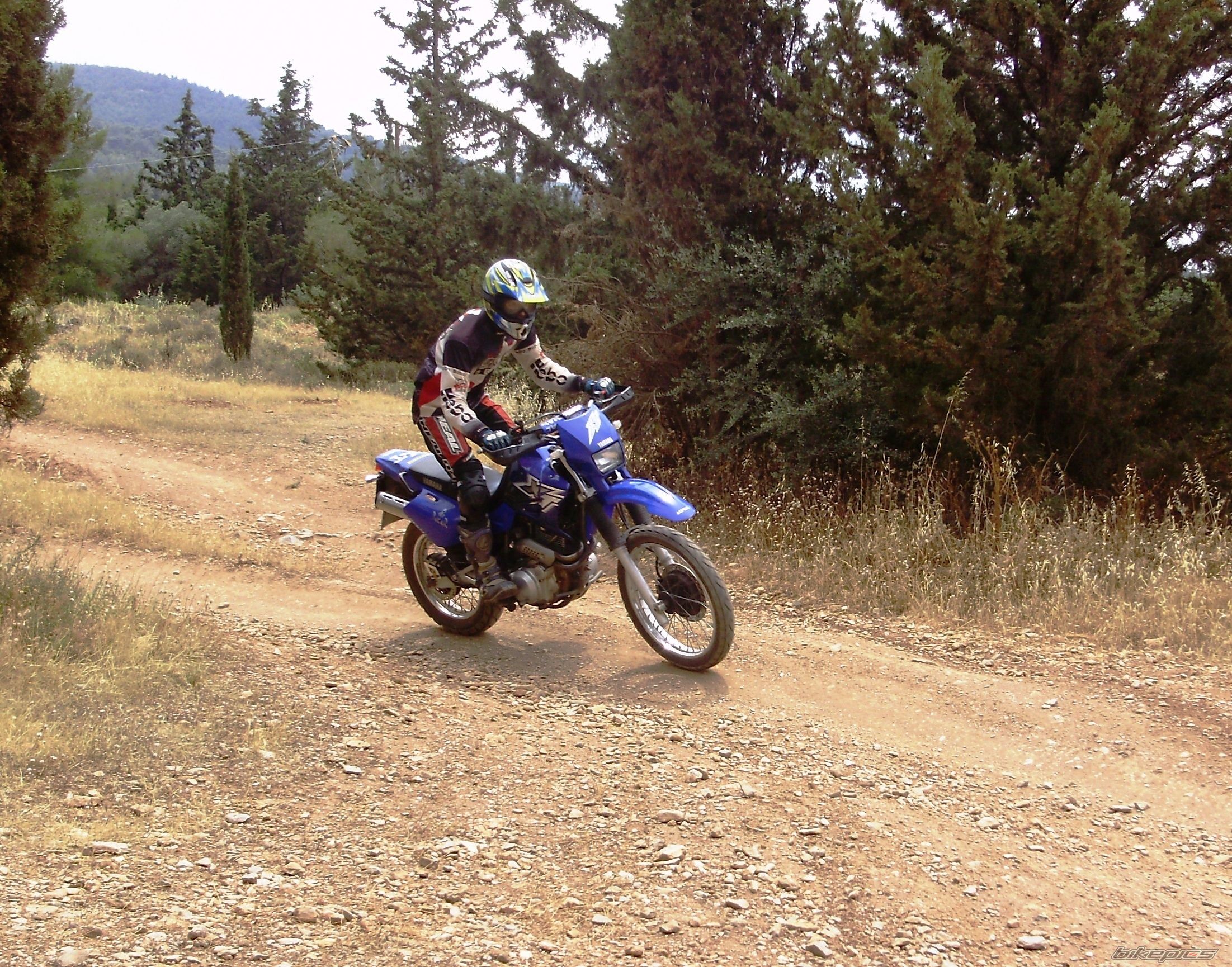 Bike Photo 1995090