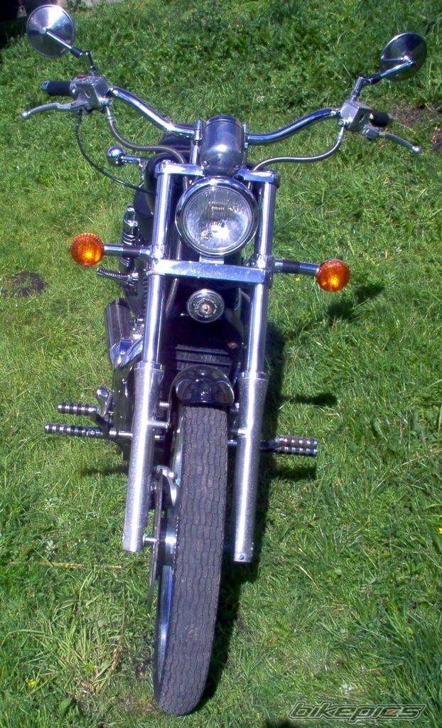 Photo 199534