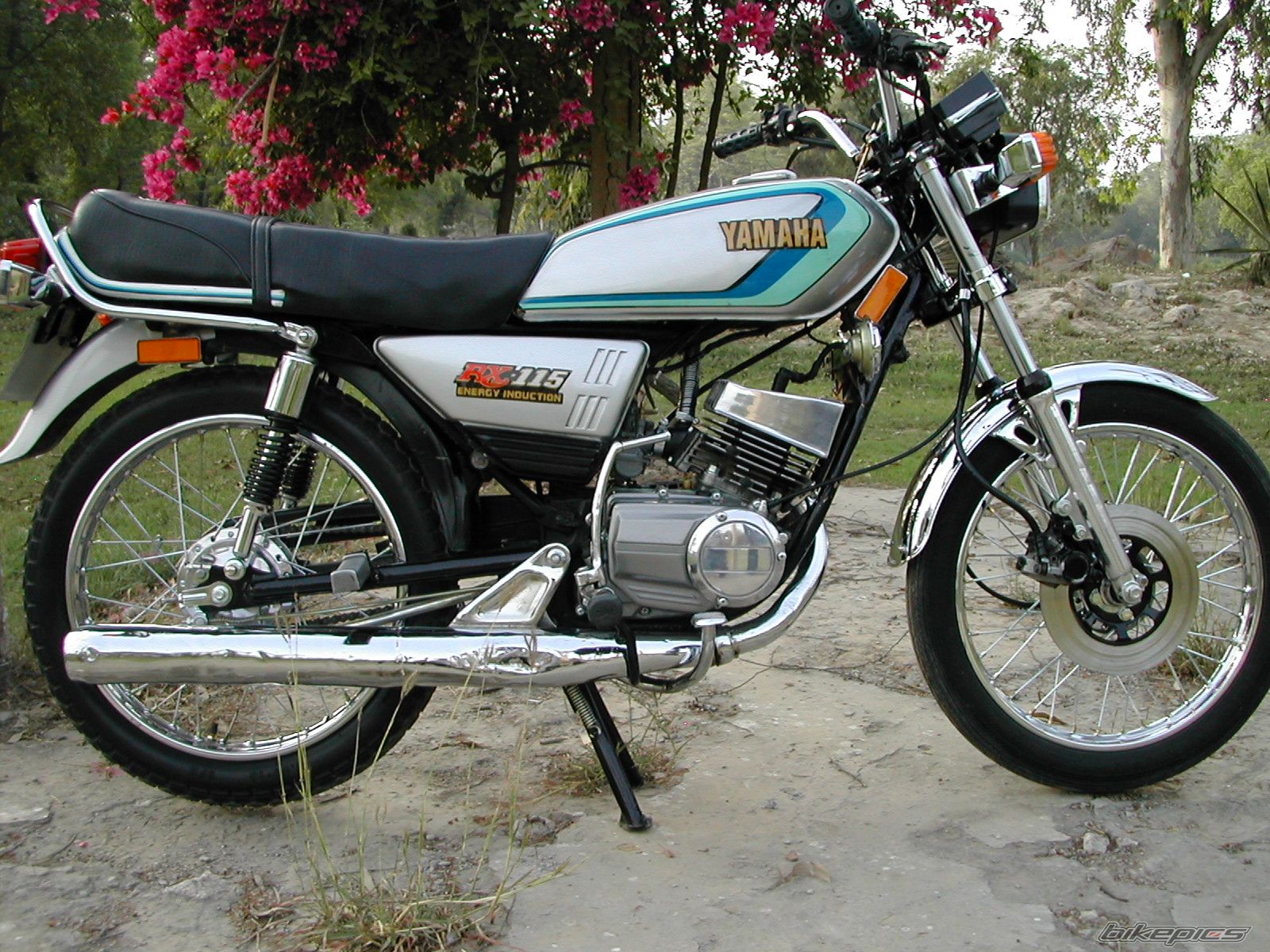 Bike Photo 1995365