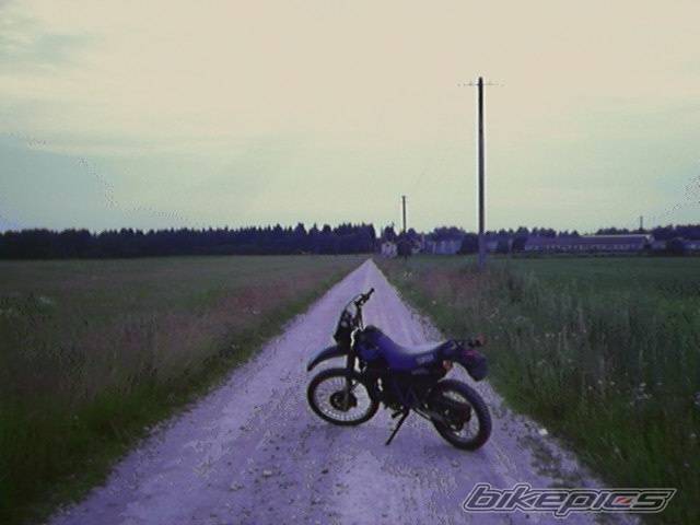 Photo 199562