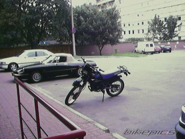 Photo 199564