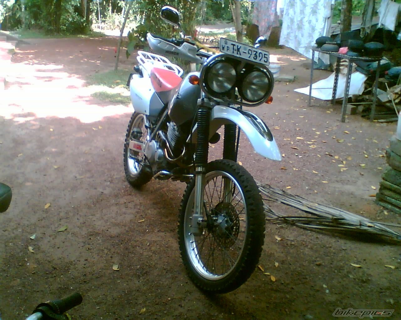 Photo 1995812
