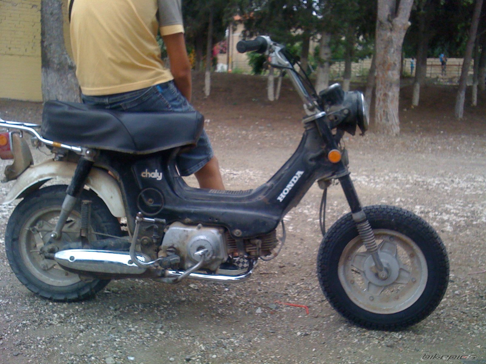 Photo 1996610