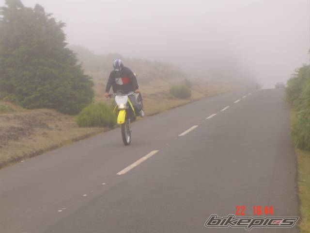 Photo 199690