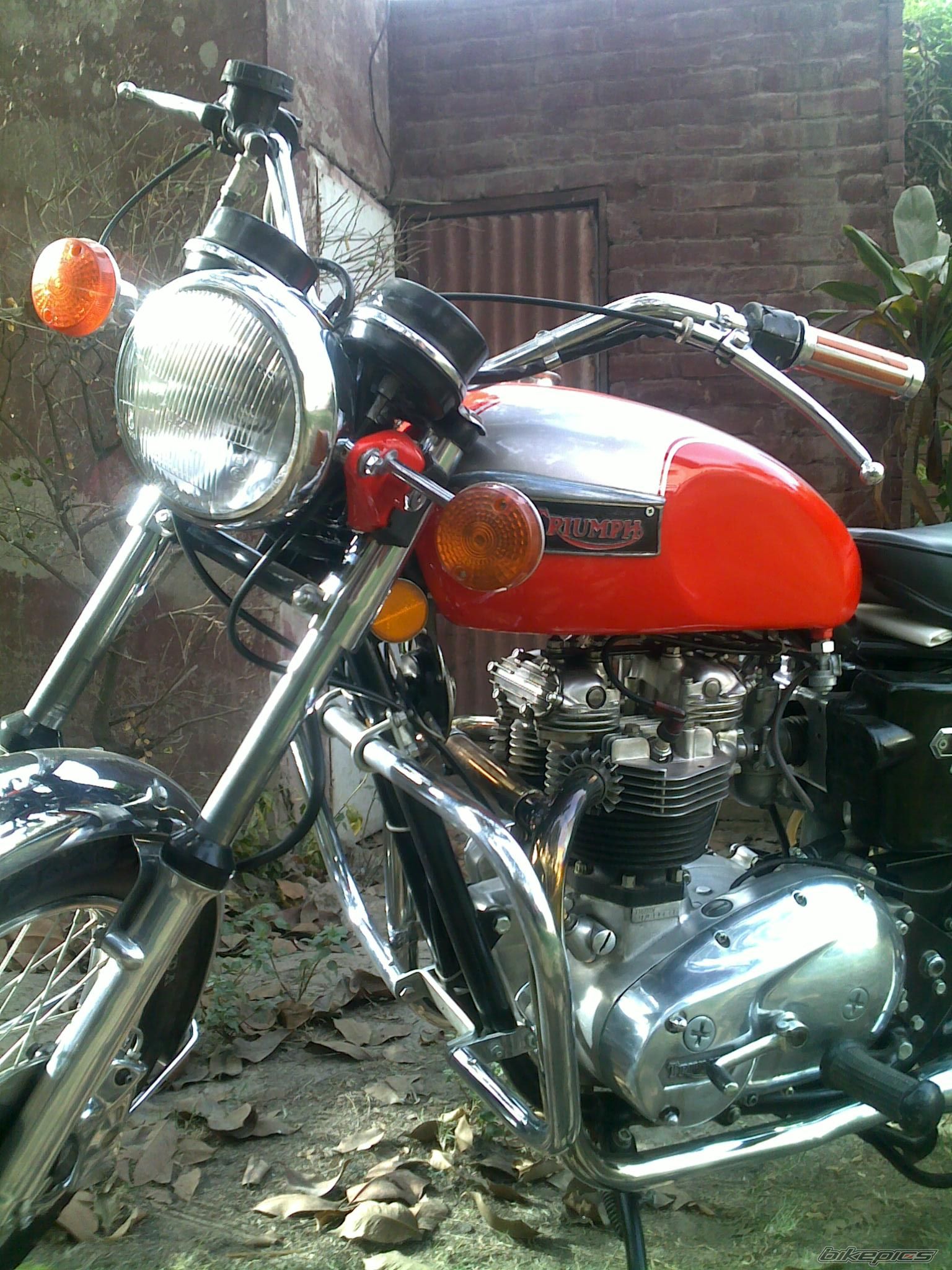 Photo 1997055