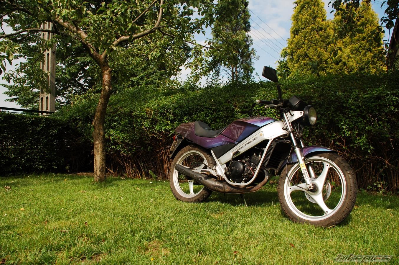 Bike Photo 1997113