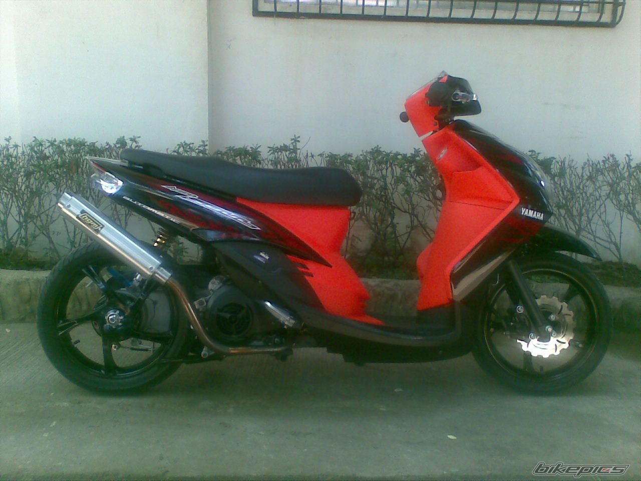 Photo 1997260