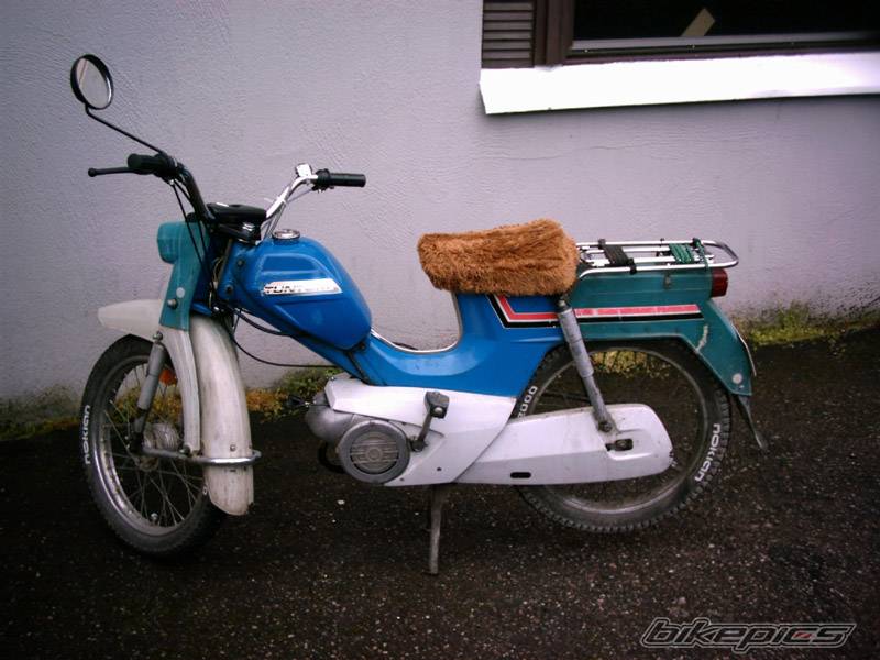 Photo 199731