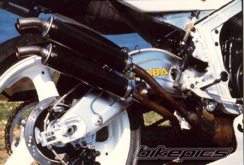 Photo 19974