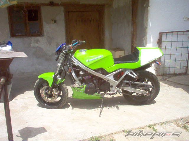 Photo 1997445