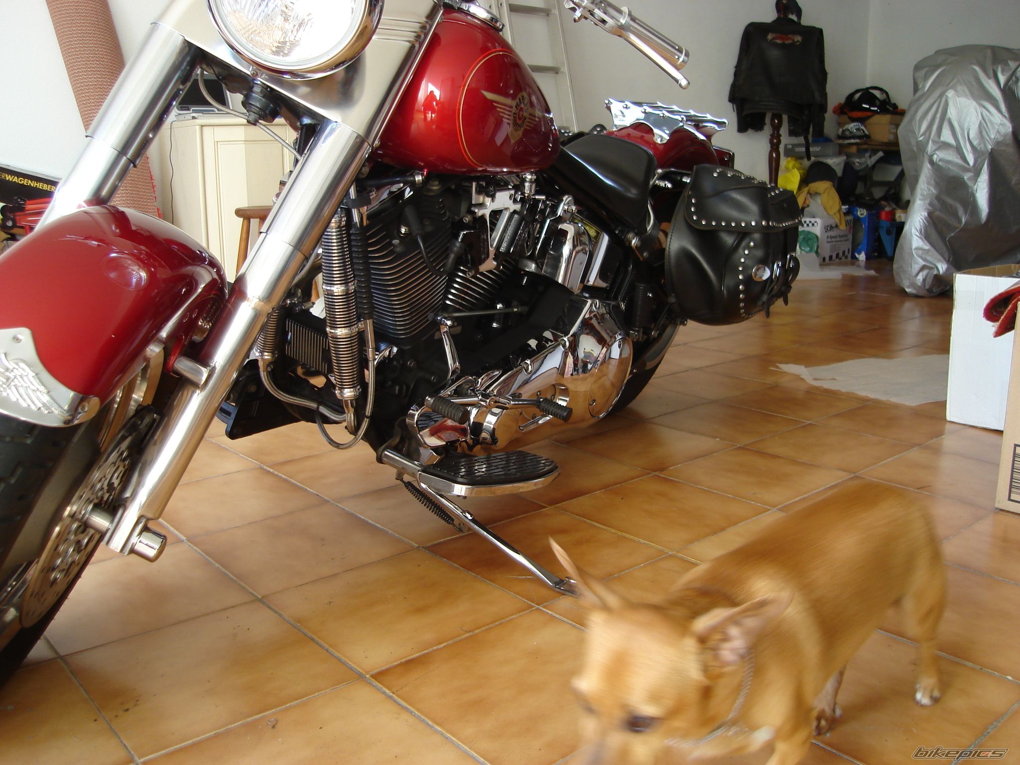 Photo 1997577