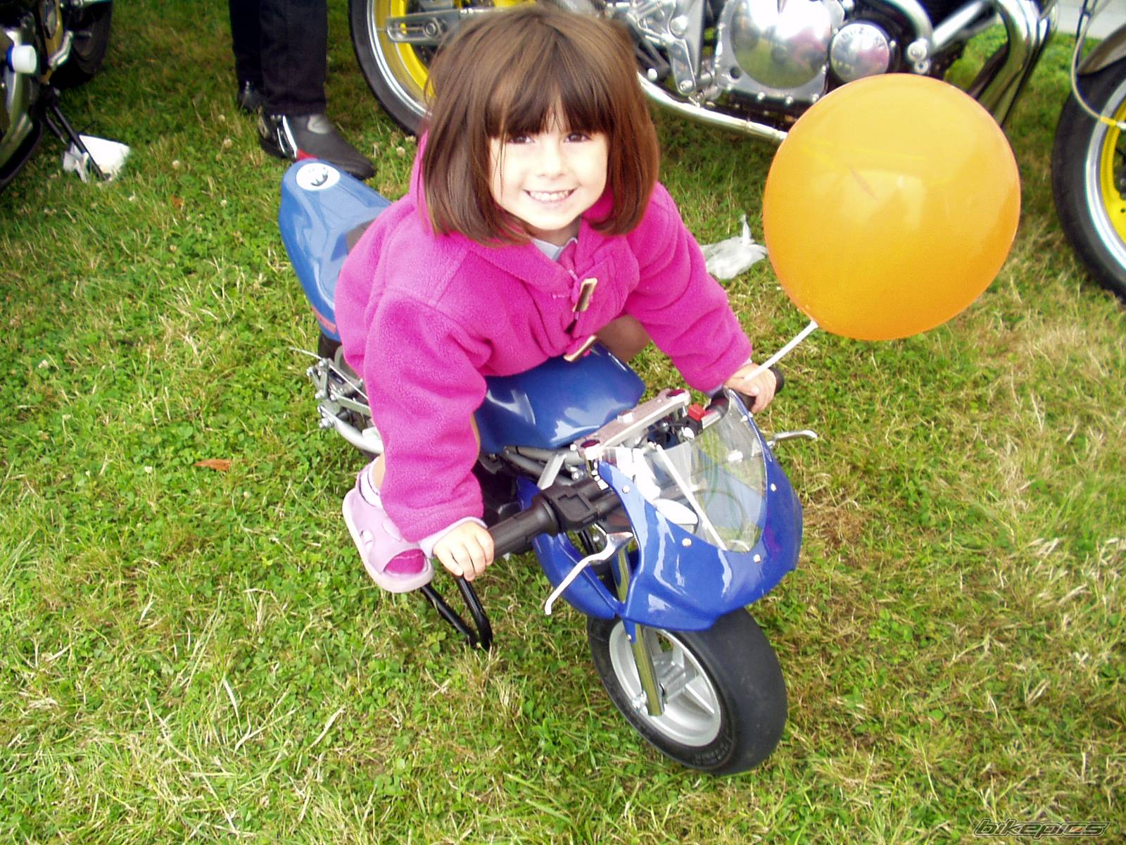 Photo 199762