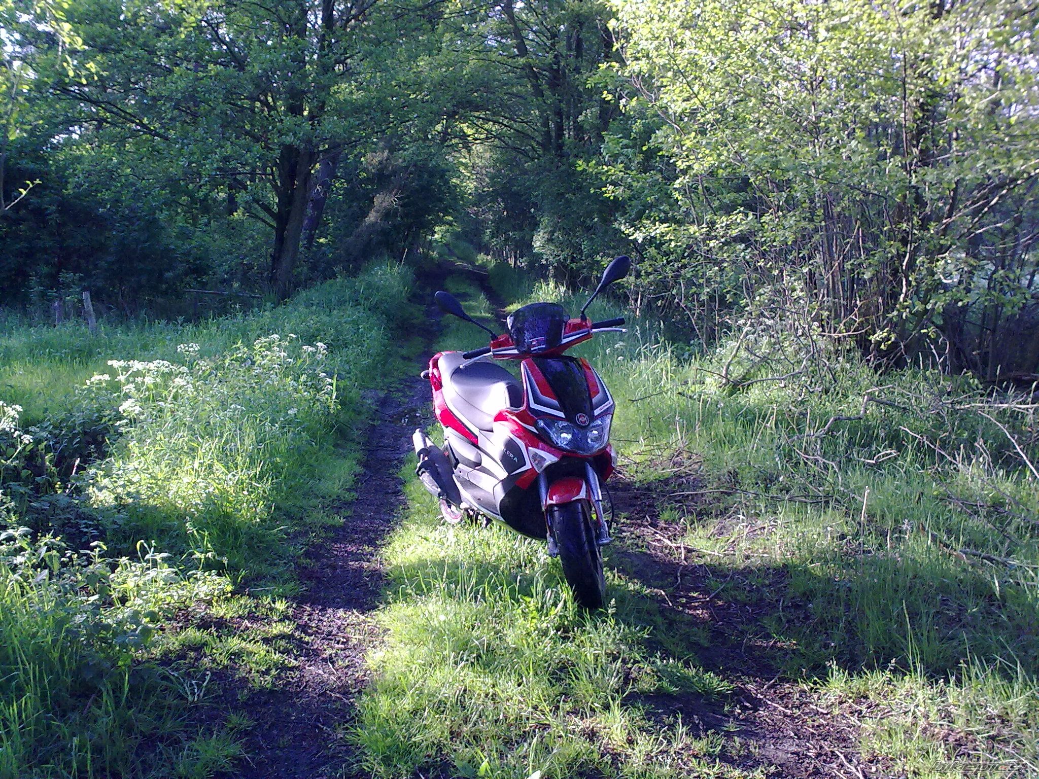 Bike Photo 1997705