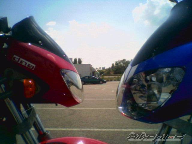 Photo 199776
