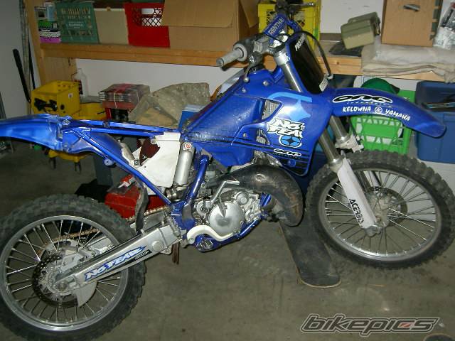 Photo 199784