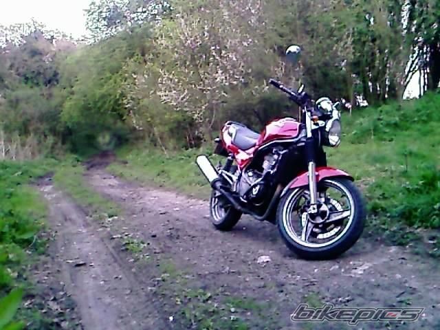 Photo 1998006
