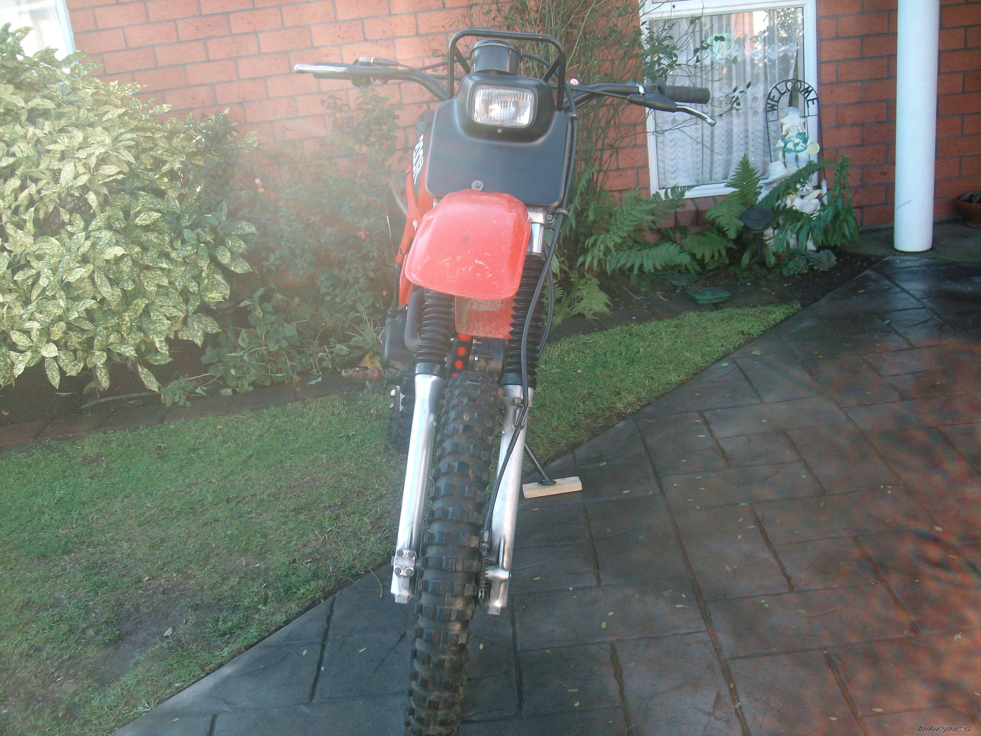 Photo 1998265