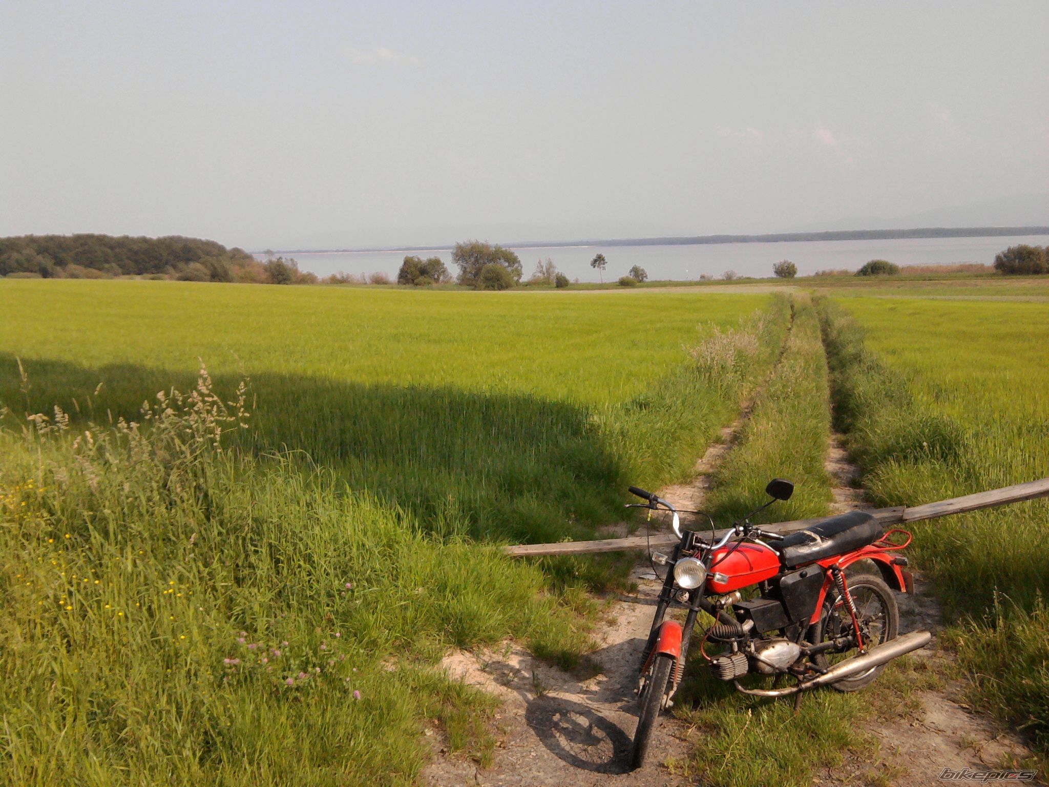 Bike Photo 1998348