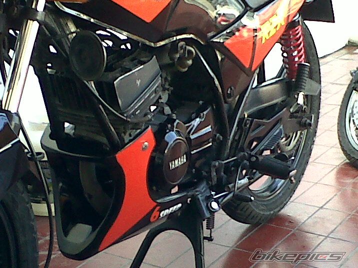 Photo 1998553