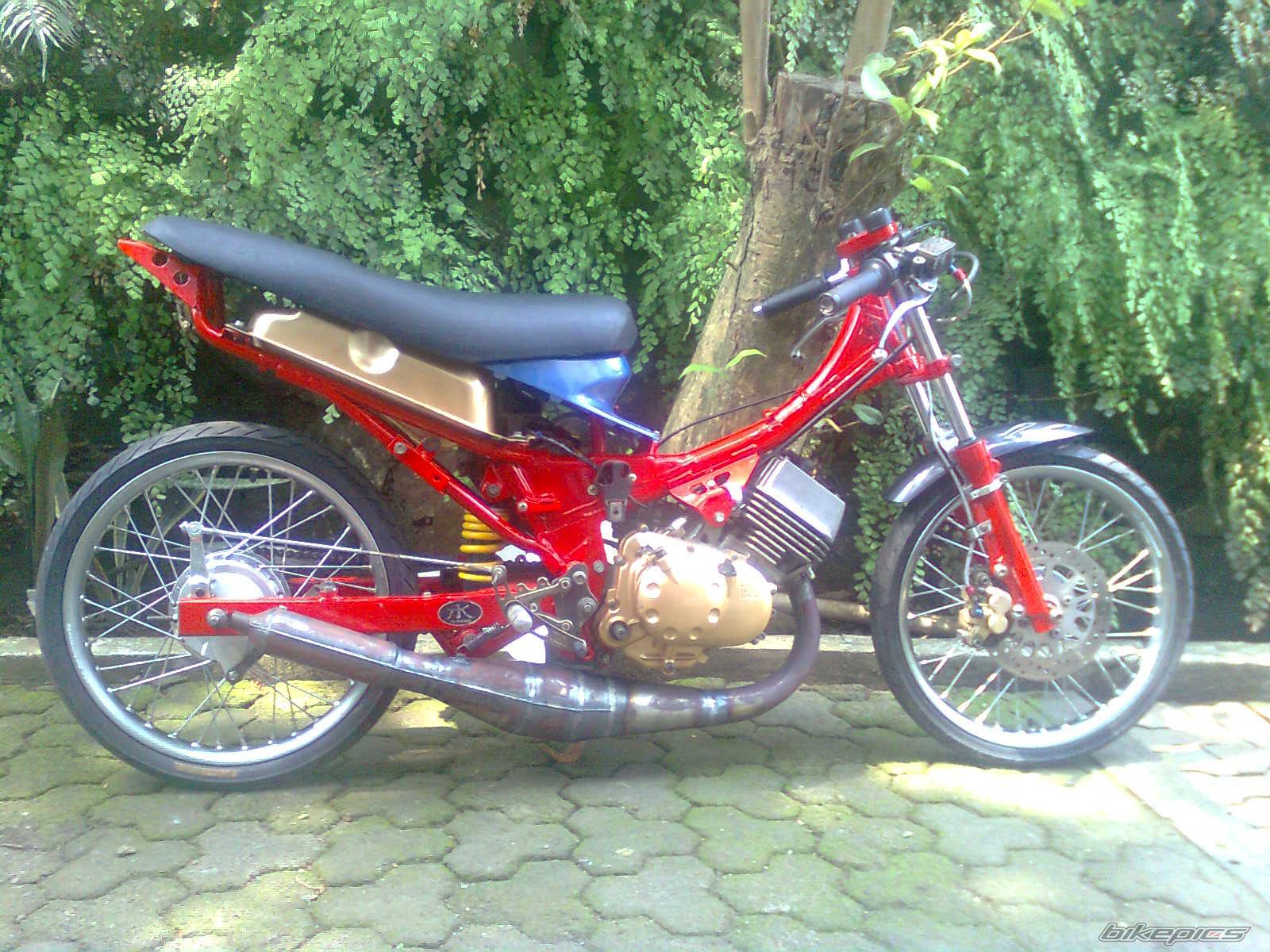 Photo 1998638