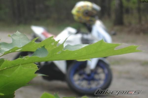 Bike Photo 1998828